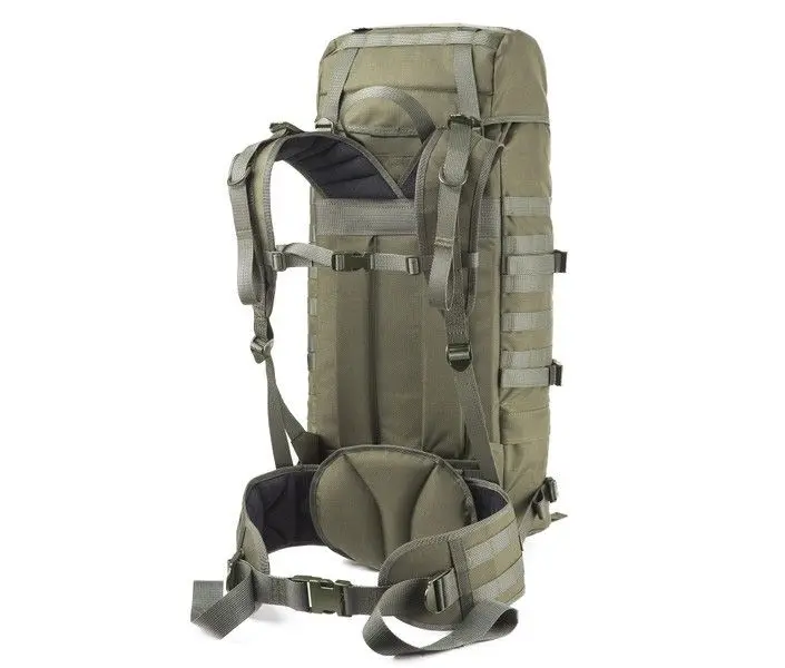 Savotta border patrol new arrivals